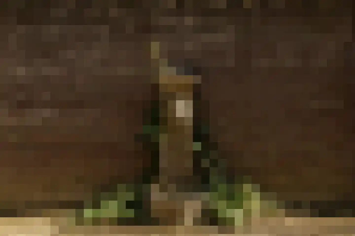 Tilledyk 16 Minnertsga thumbnail 83