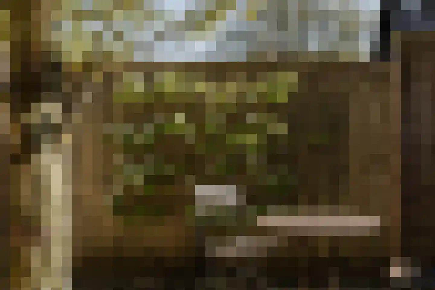 Tilledyk 16 Minnertsga thumbnail 84