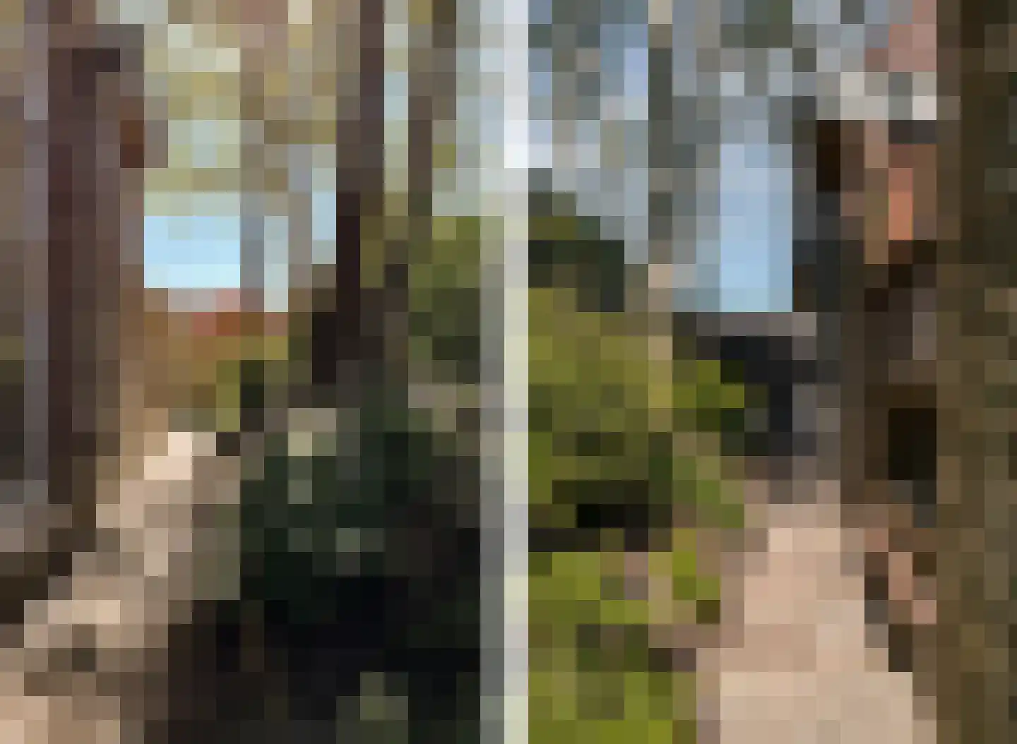 Tilledyk 16 Minnertsga thumbnail 86