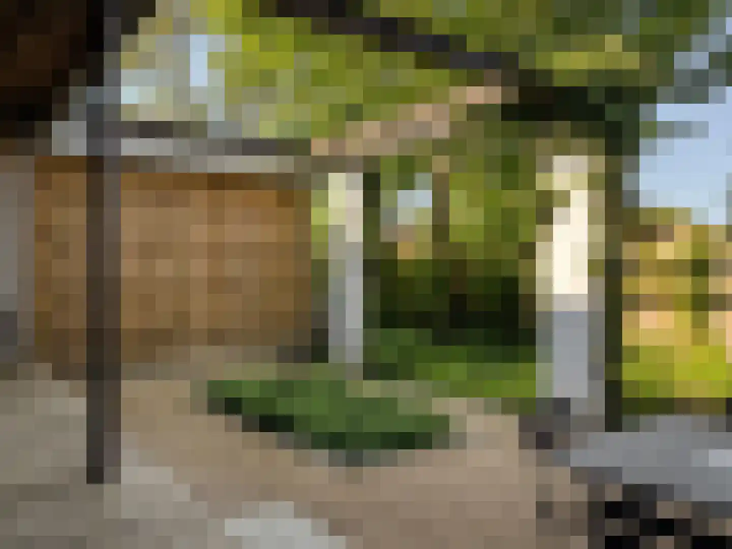 Tilledyk 16 Minnertsga thumbnail 88