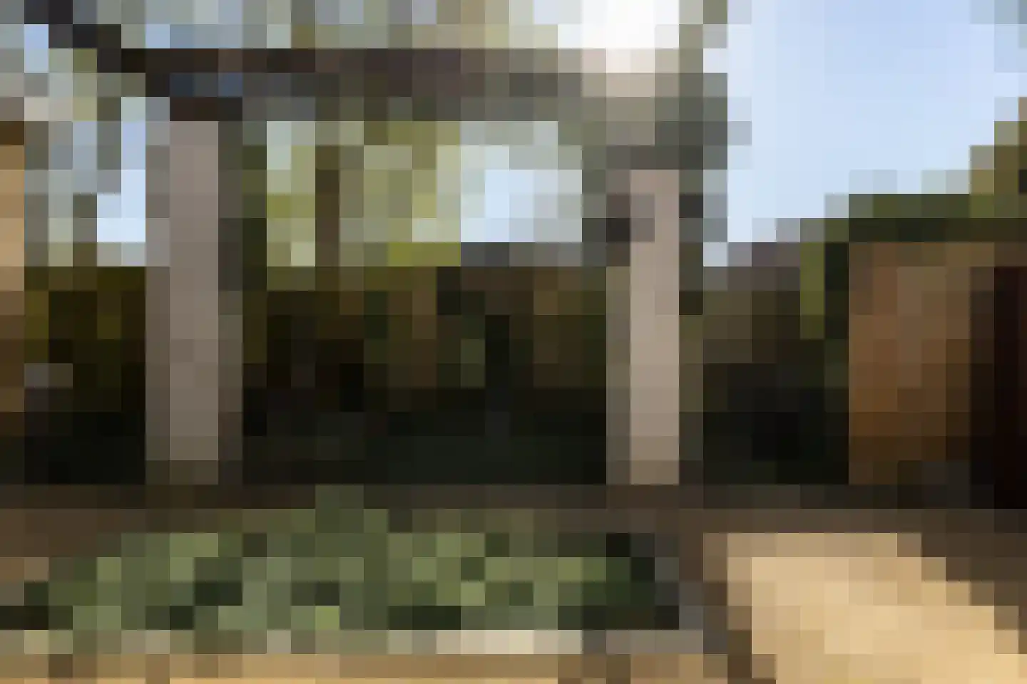 Tilledyk 16 Minnertsga thumbnail 89