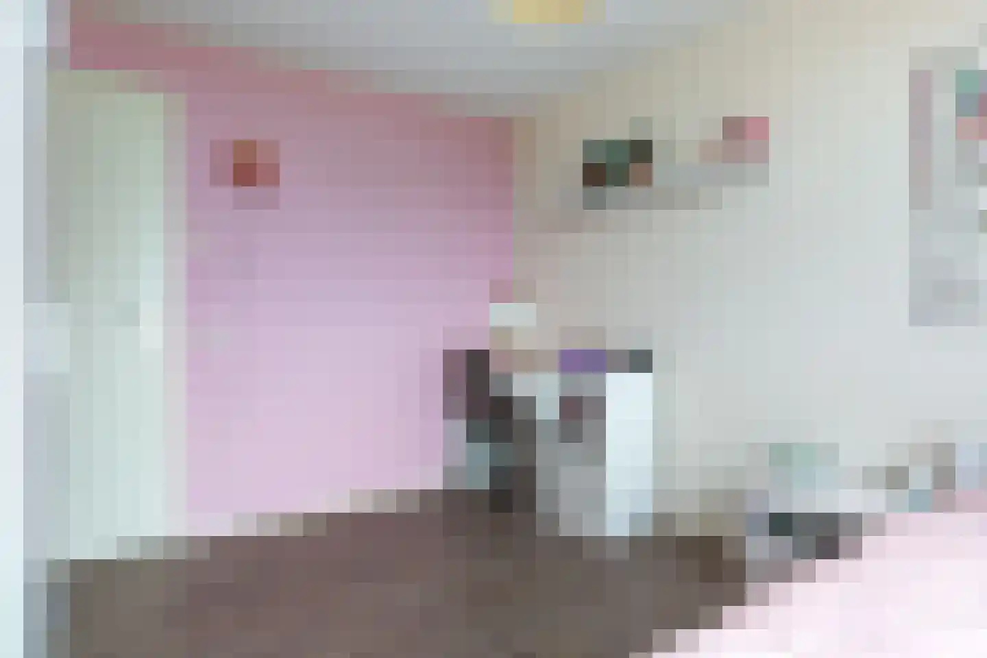 Tilledyk 44 Minnertsga thumbnail 26