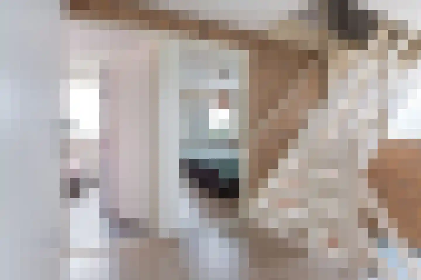 Tilledyk 44 Minnertsga thumbnail 34