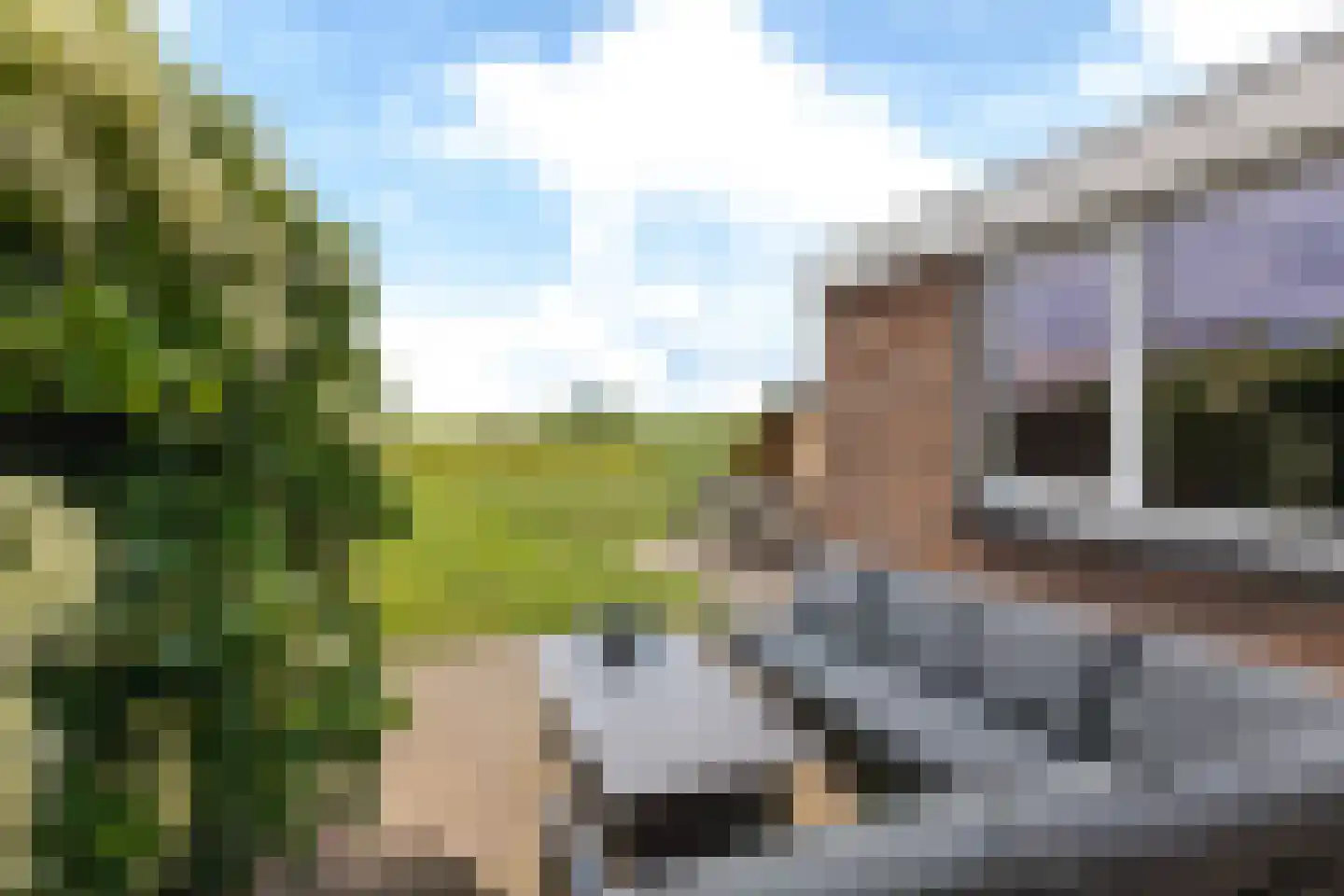 Tilledyk 44 Minnertsga thumbnail 40
