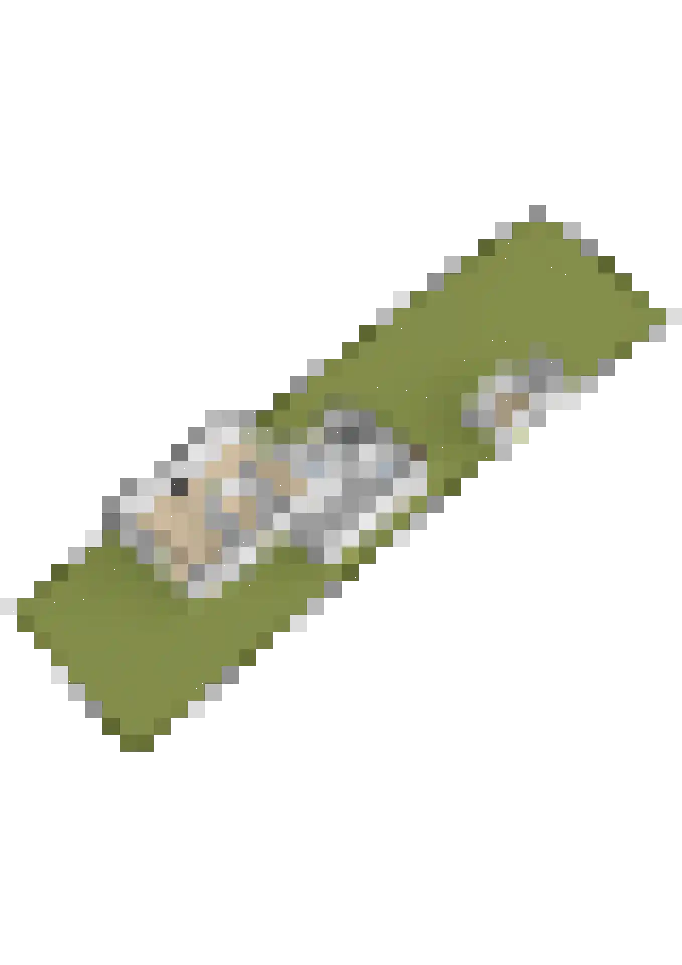 Tilledyk 44 Minnertsga thumbnail 57