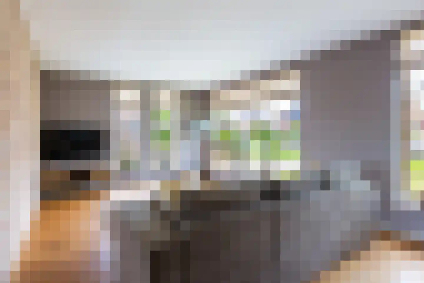 Tilledyk 44 Minnertsga thumbnail 8