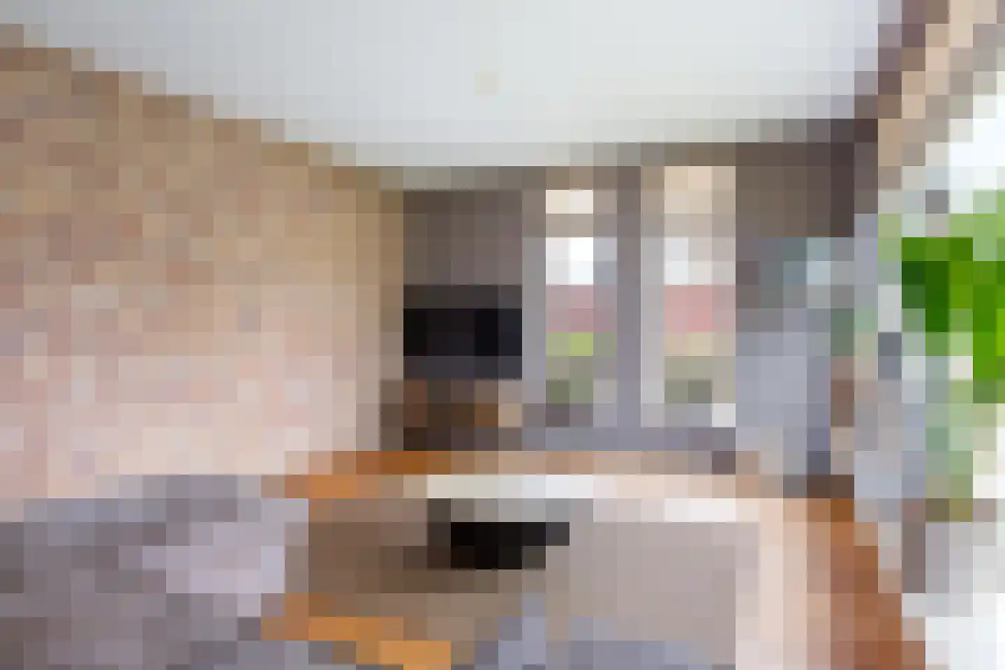 Tilledyk 44 Minnertsga thumbnail 9