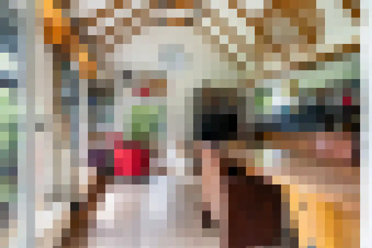 Tilledyk 71 Minnertsga thumbnail 10