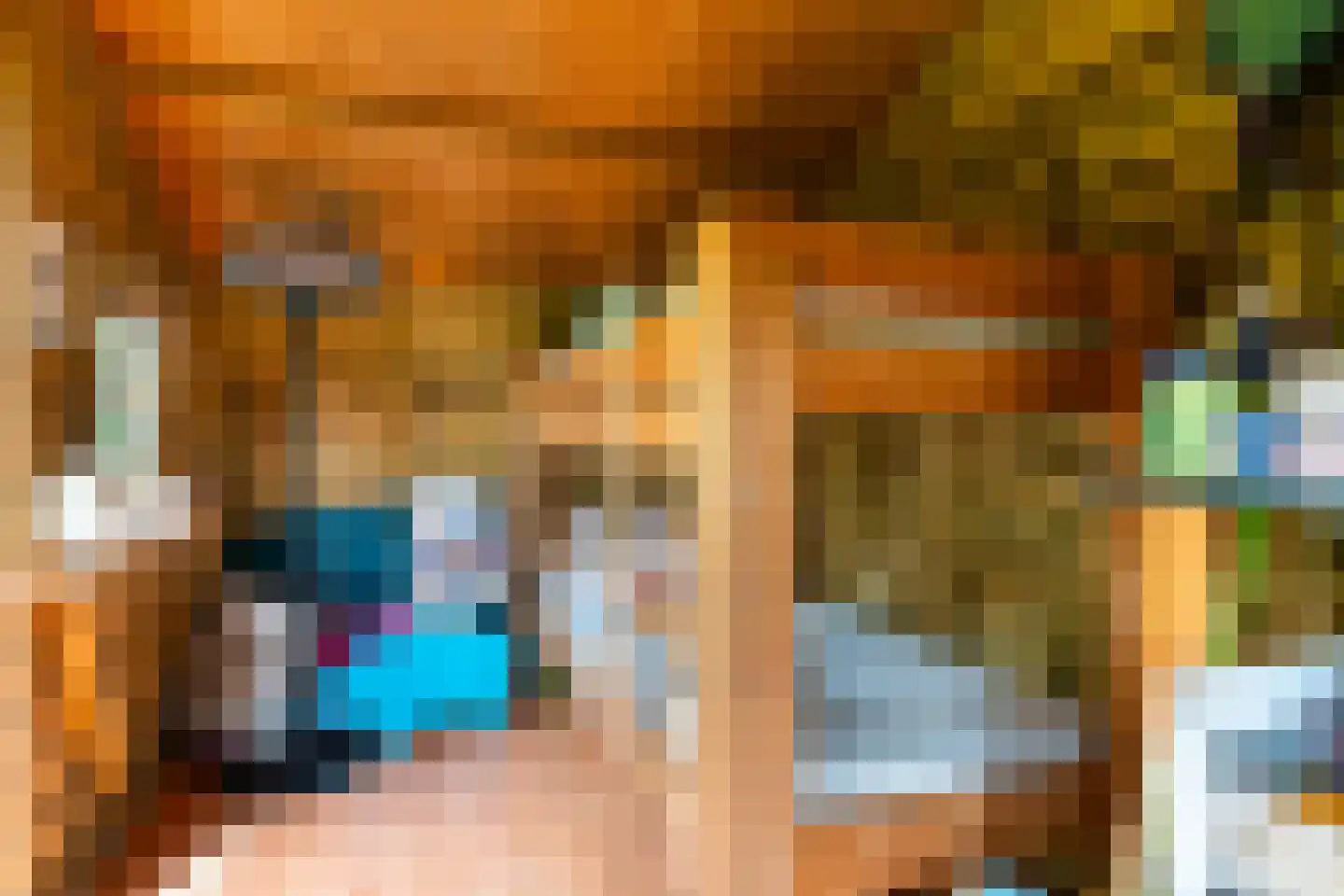 Tilledyk 71 Minnertsga thumbnail 20