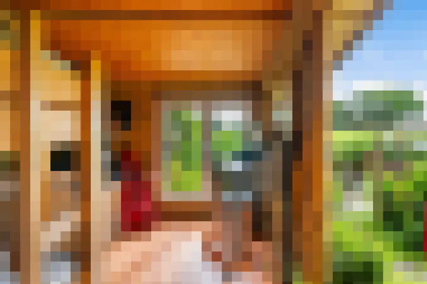 Tilledyk 71 Minnertsga thumbnail 21