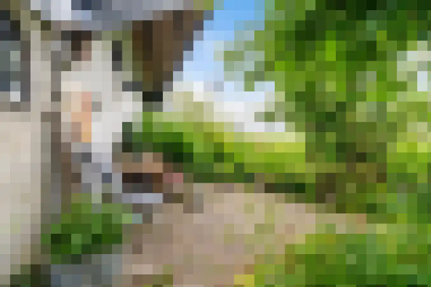 Tilledyk 71 Minnertsga thumbnail 22