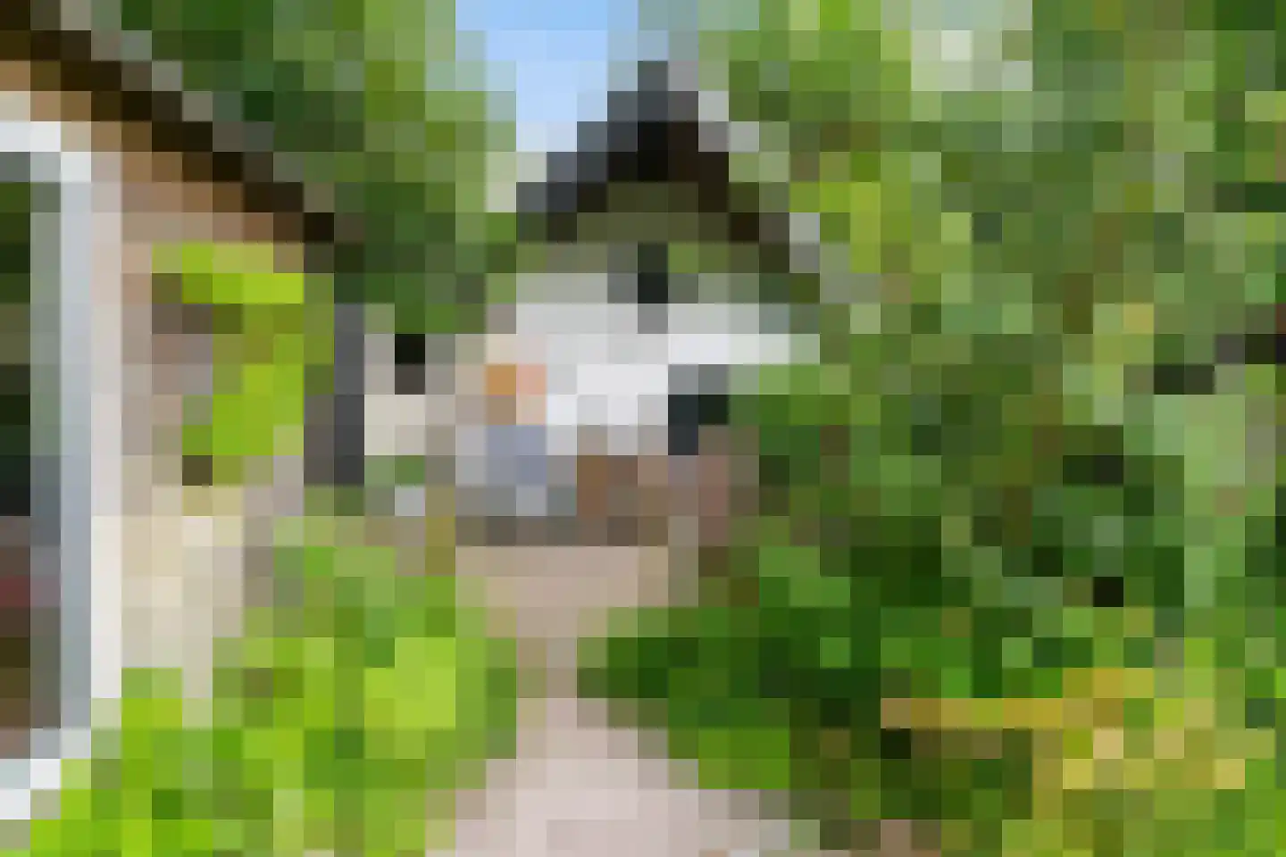 Tilledyk 71 Minnertsga thumbnail 23
