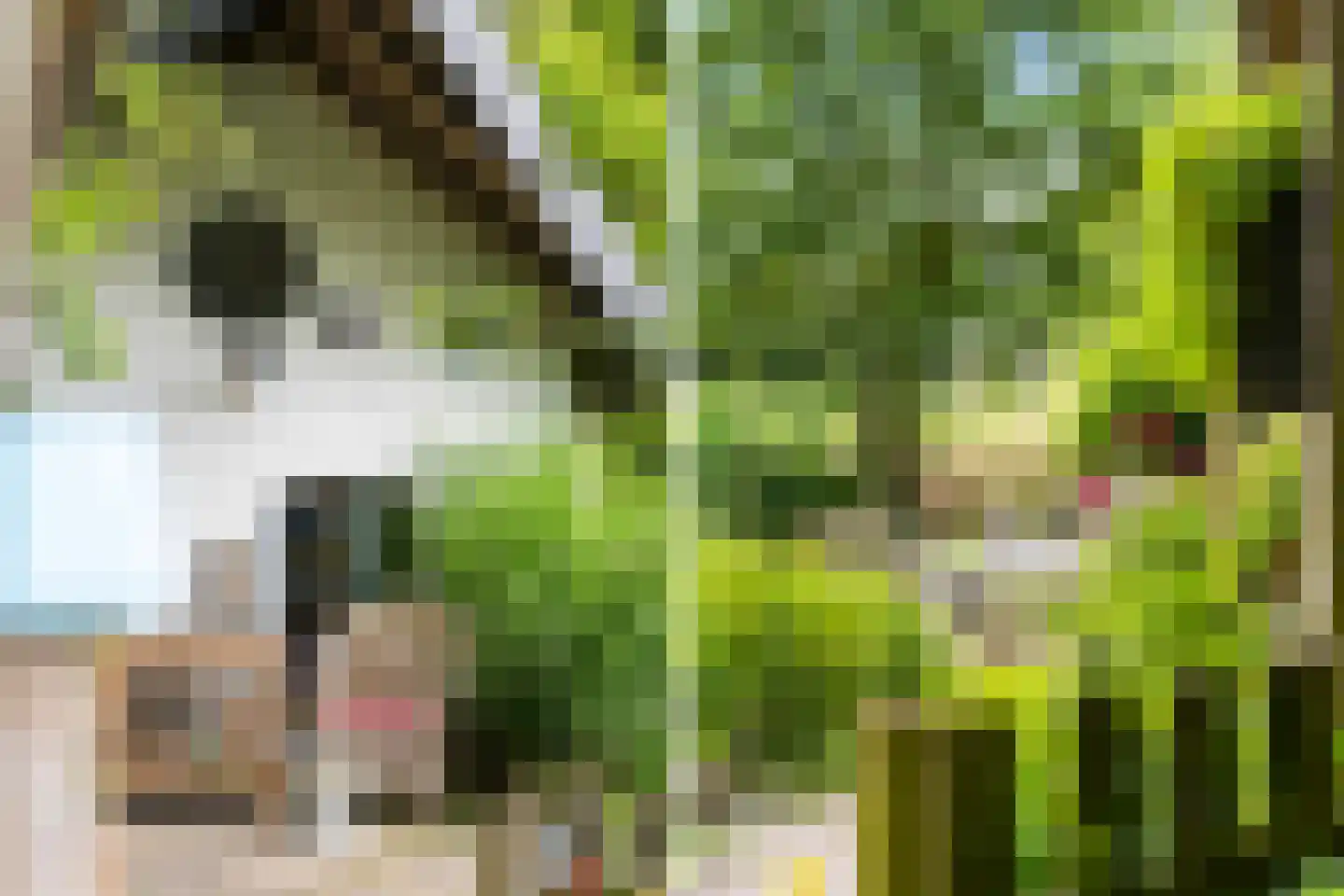 Tilledyk 71 Minnertsga thumbnail 24