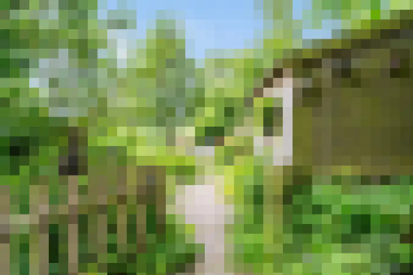 Tilledyk 71 Minnertsga thumbnail 25