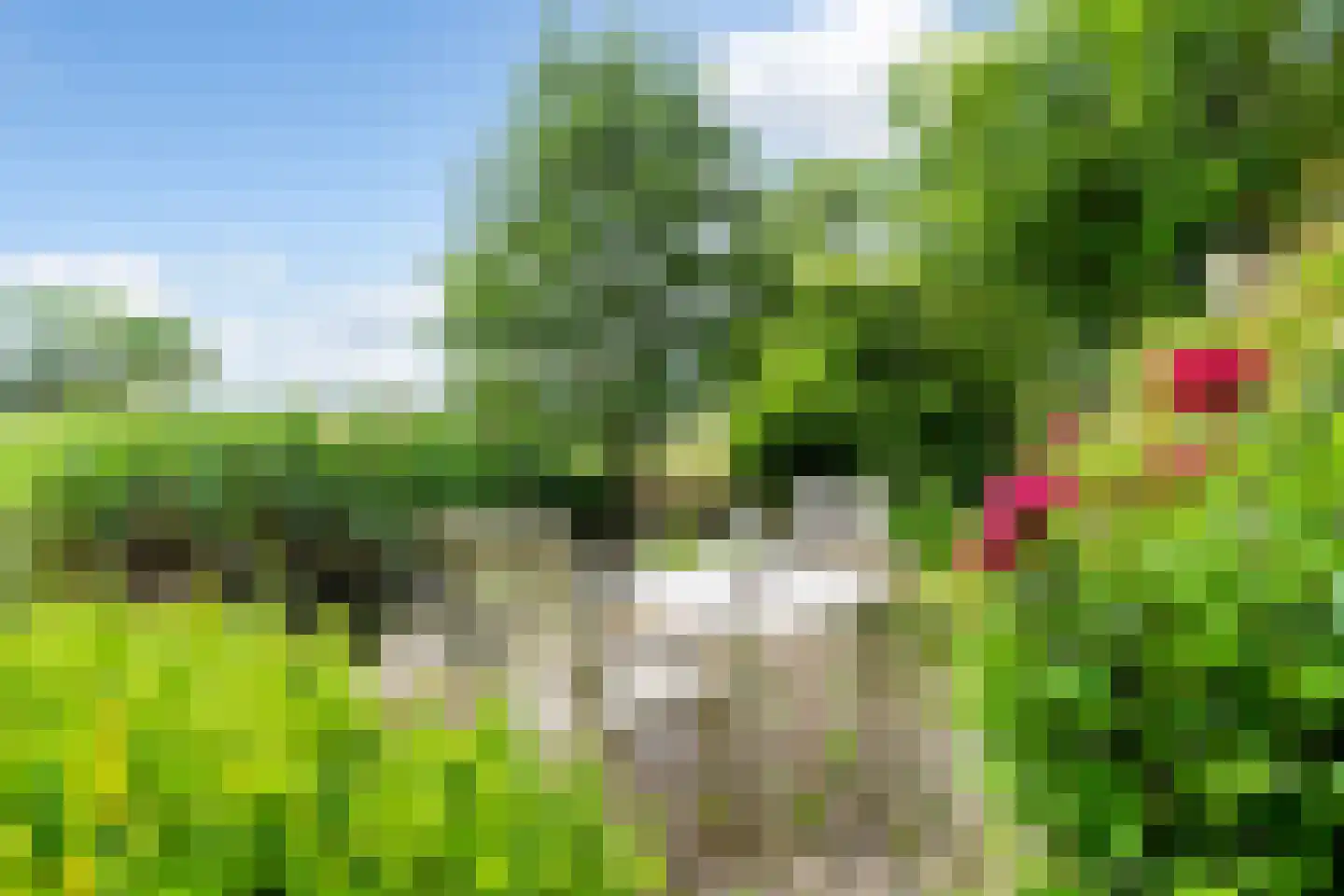 Tilledyk 71 Minnertsga thumbnail 26