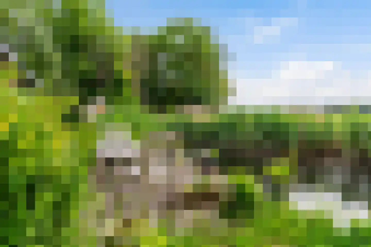 Tilledyk 71 Minnertsga thumbnail 27
