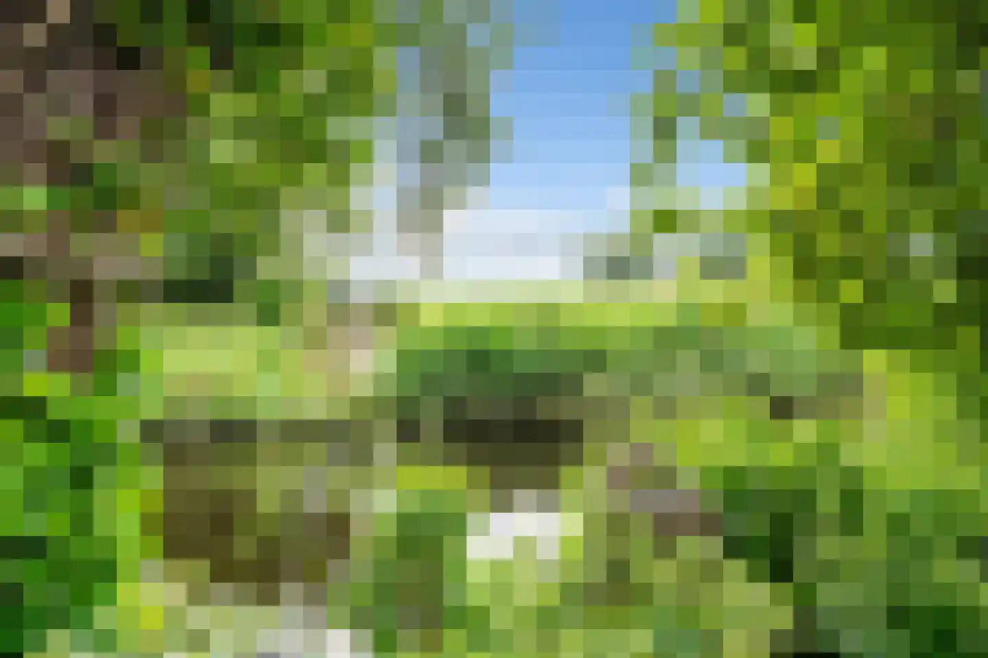 Tilledyk 71 Minnertsga thumbnail 31