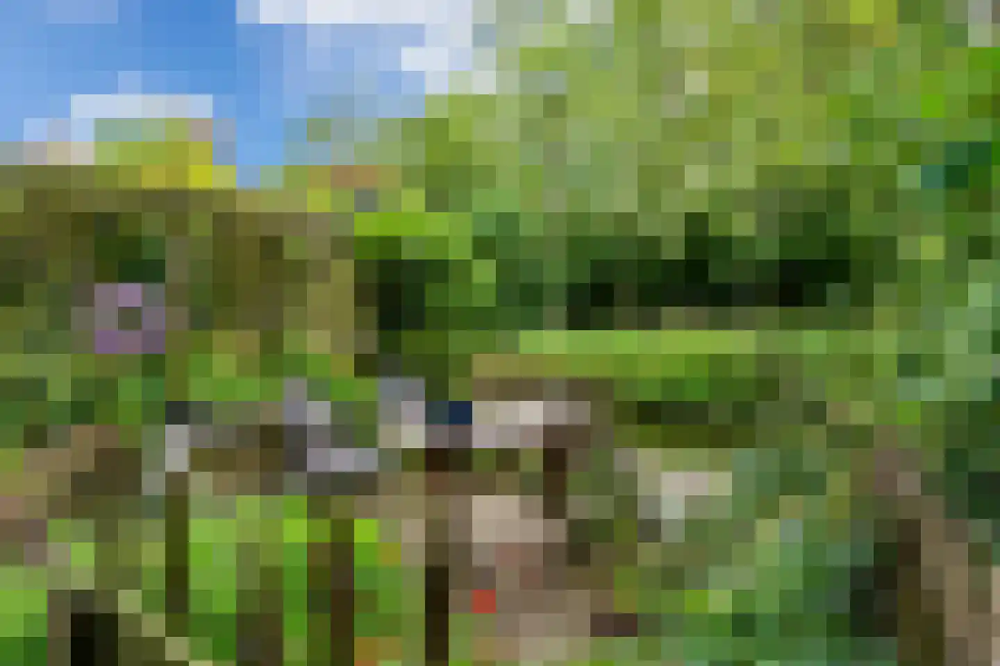 Tilledyk 71 Minnertsga thumbnail 32