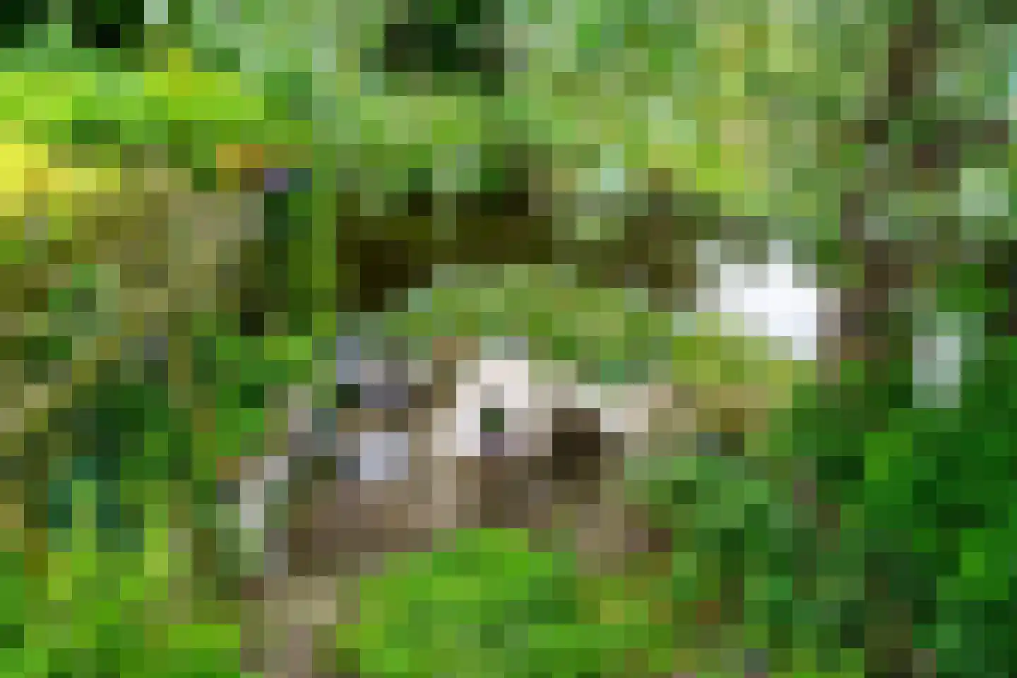 Tilledyk 71 Minnertsga thumbnail 33