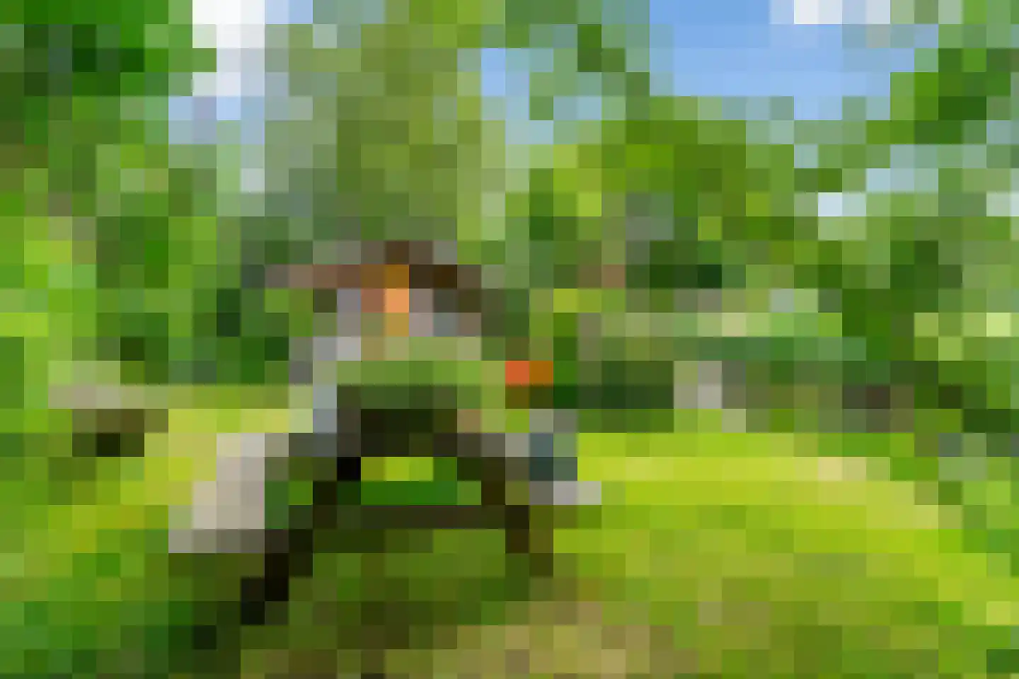 Tilledyk 71 Minnertsga thumbnail 34