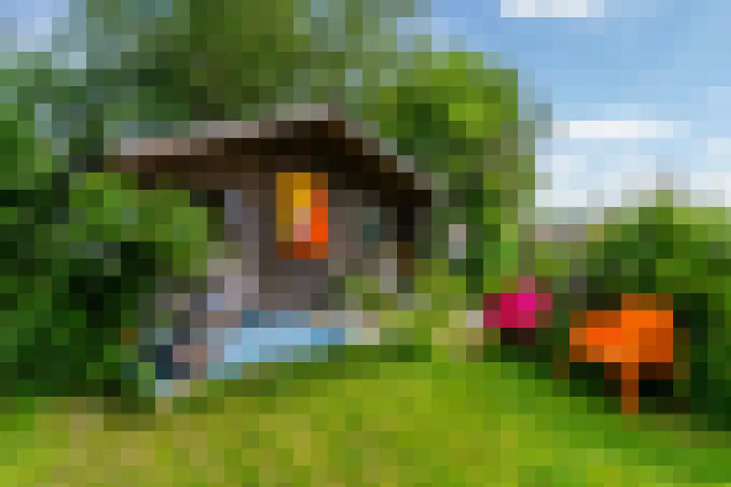 Tilledyk 71 Minnertsga thumbnail 35