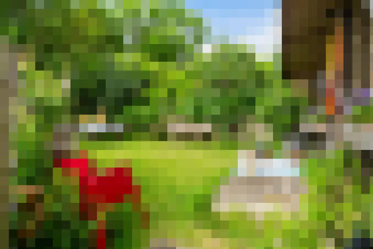 Tilledyk 71 Minnertsga thumbnail 36