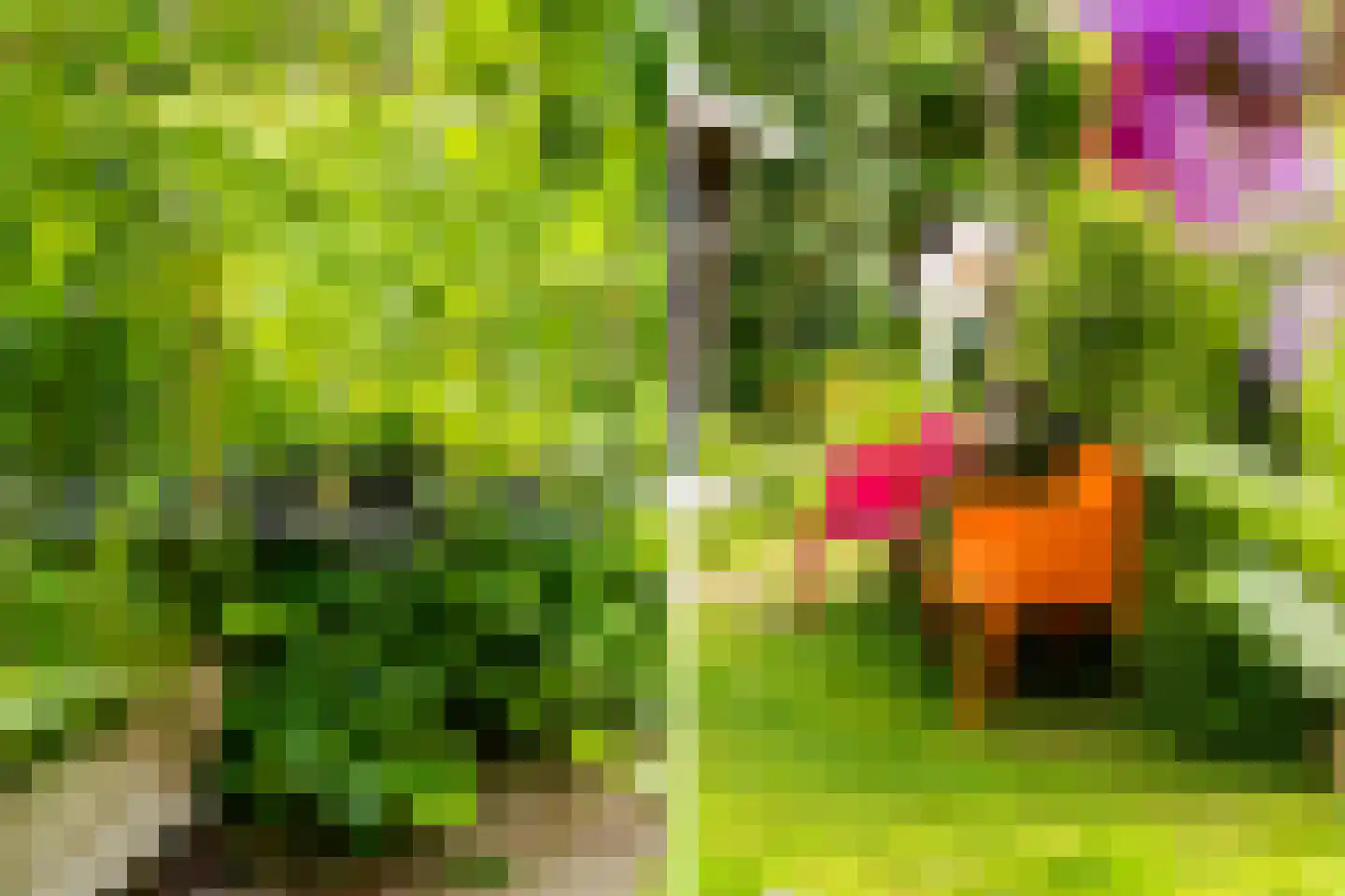 Tilledyk 71 Minnertsga thumbnail 37