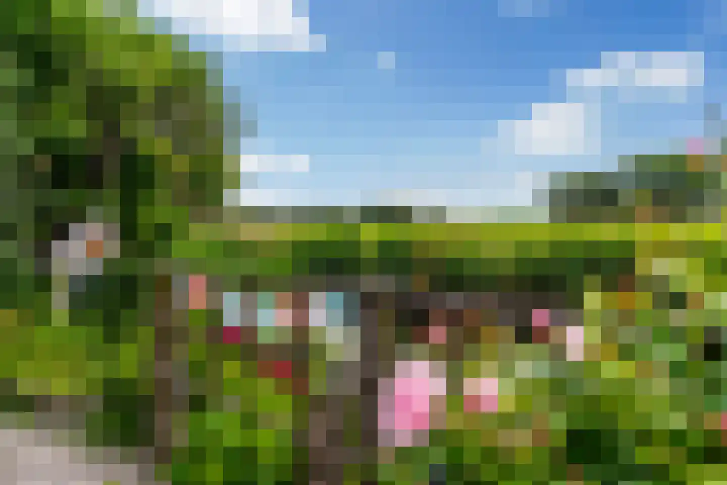 Tilledyk 71 Minnertsga thumbnail 38