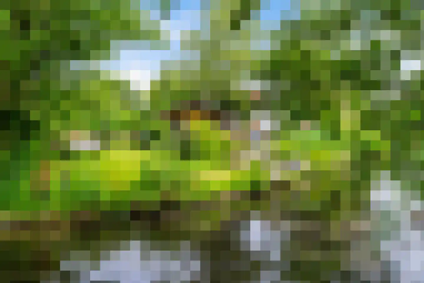 Tilledyk 71 Minnertsga thumbnail 39