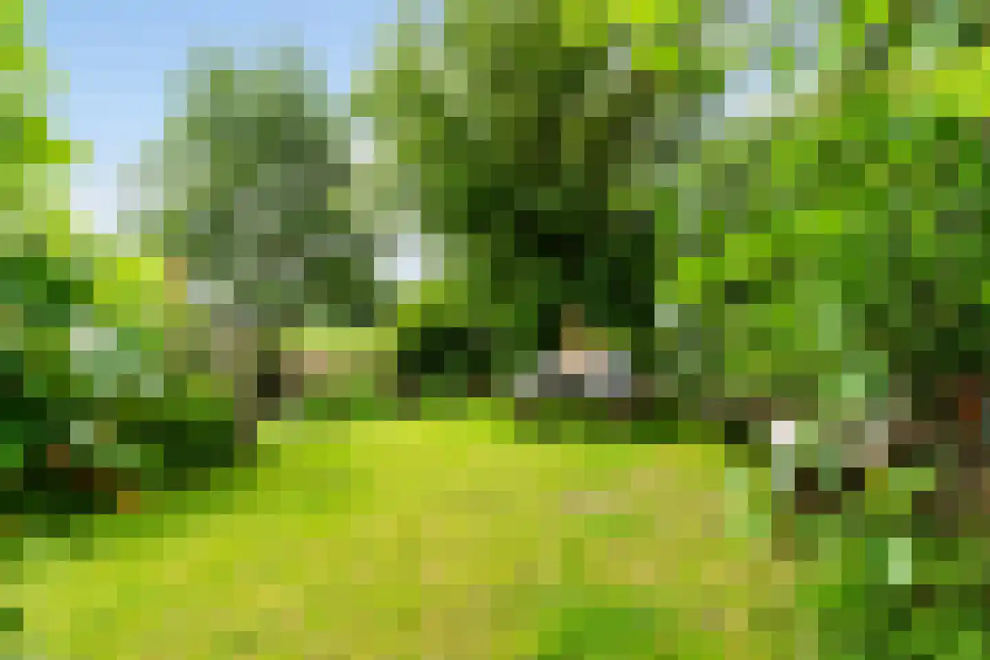 Tilledyk 71 Minnertsga thumbnail 4