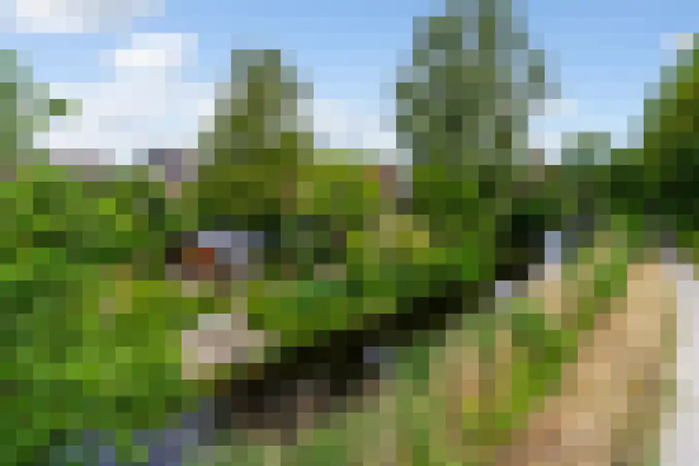 Tilledyk 71 Minnertsga thumbnail 40