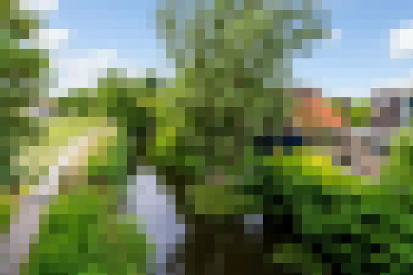 Tilledyk 71 Minnertsga thumbnail 41