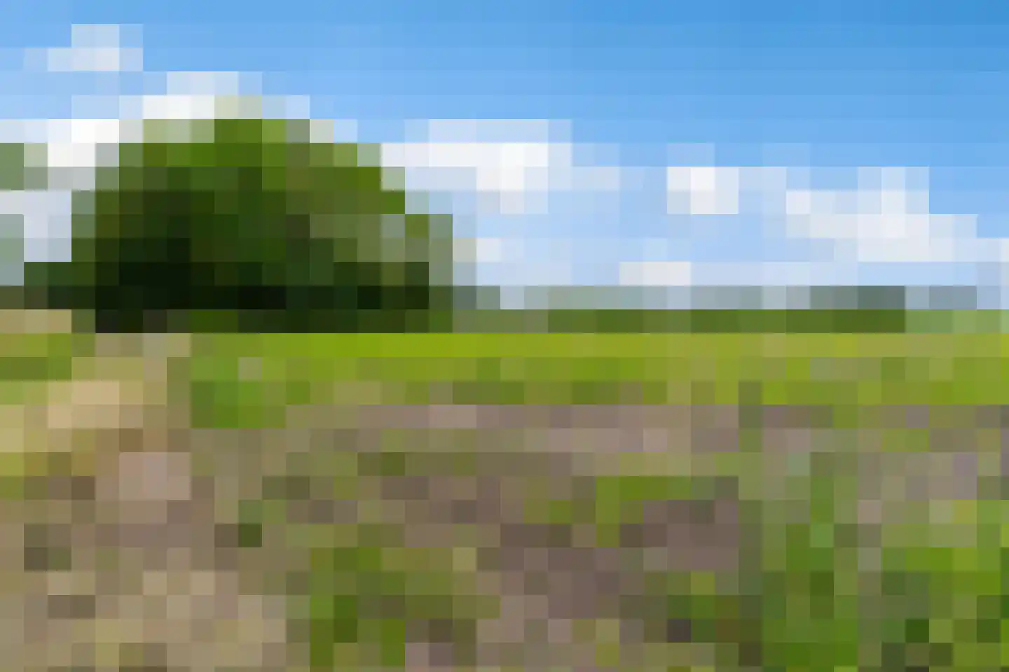 Tilledyk 71 Minnertsga thumbnail 43