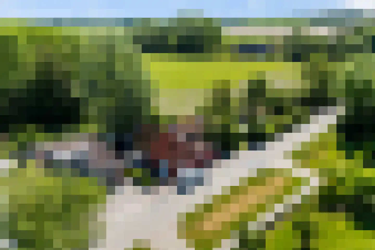 Tilledyk 71 Minnertsga thumbnail 46