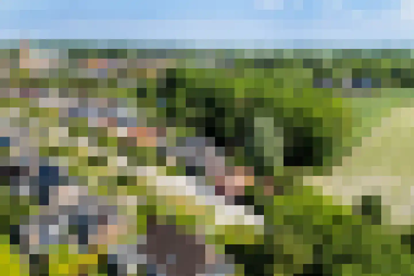 Tilledyk 71 Minnertsga thumbnail 48