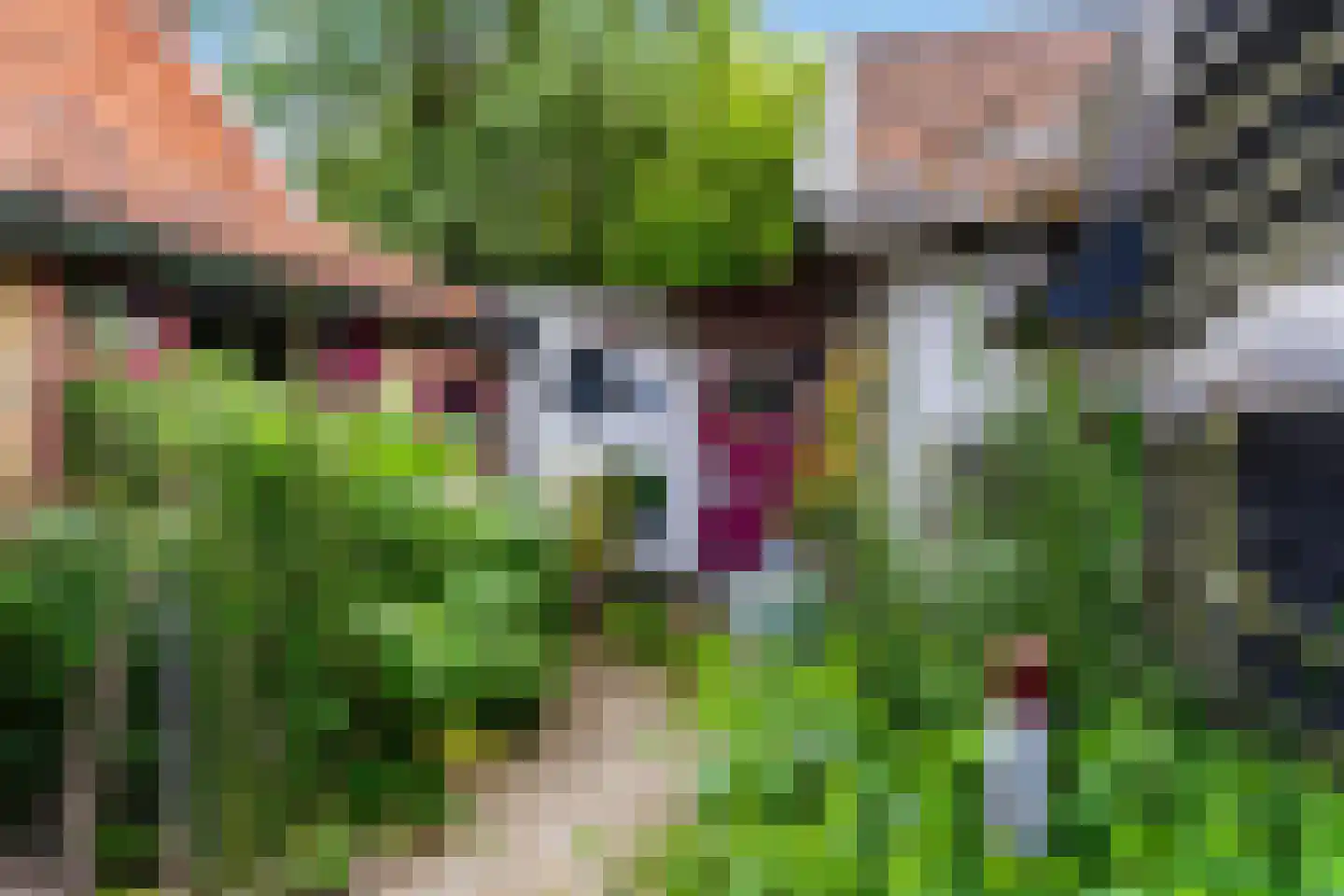 Tilledyk 71 Minnertsga thumbnail 6