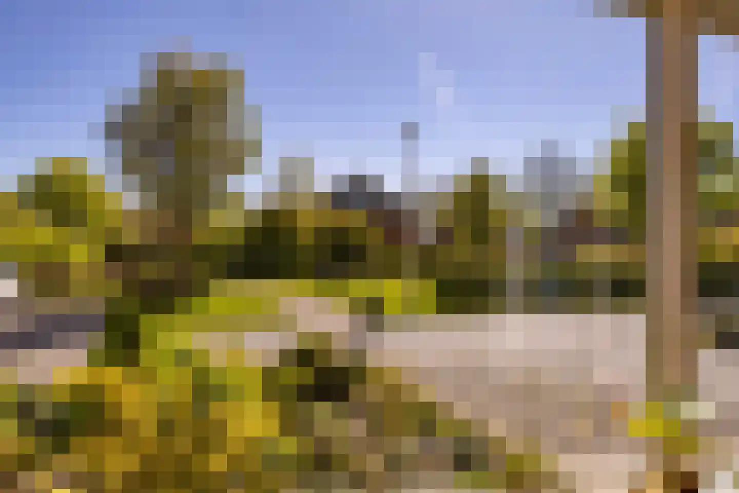 Tillefeart 7 Hurdegaryp thumbnail 13
