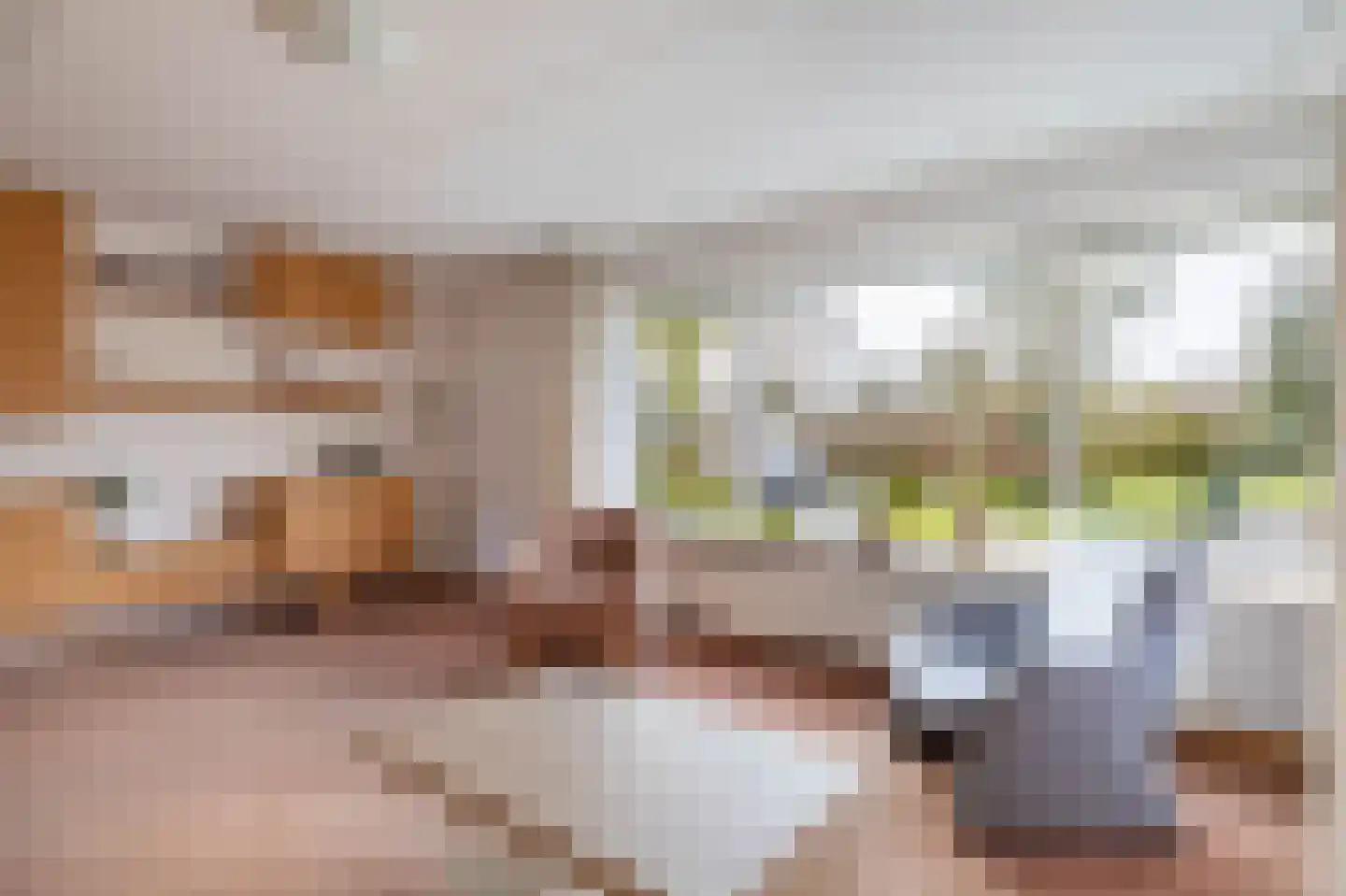 Tillefeart 7 Hurdegaryp thumbnail 16