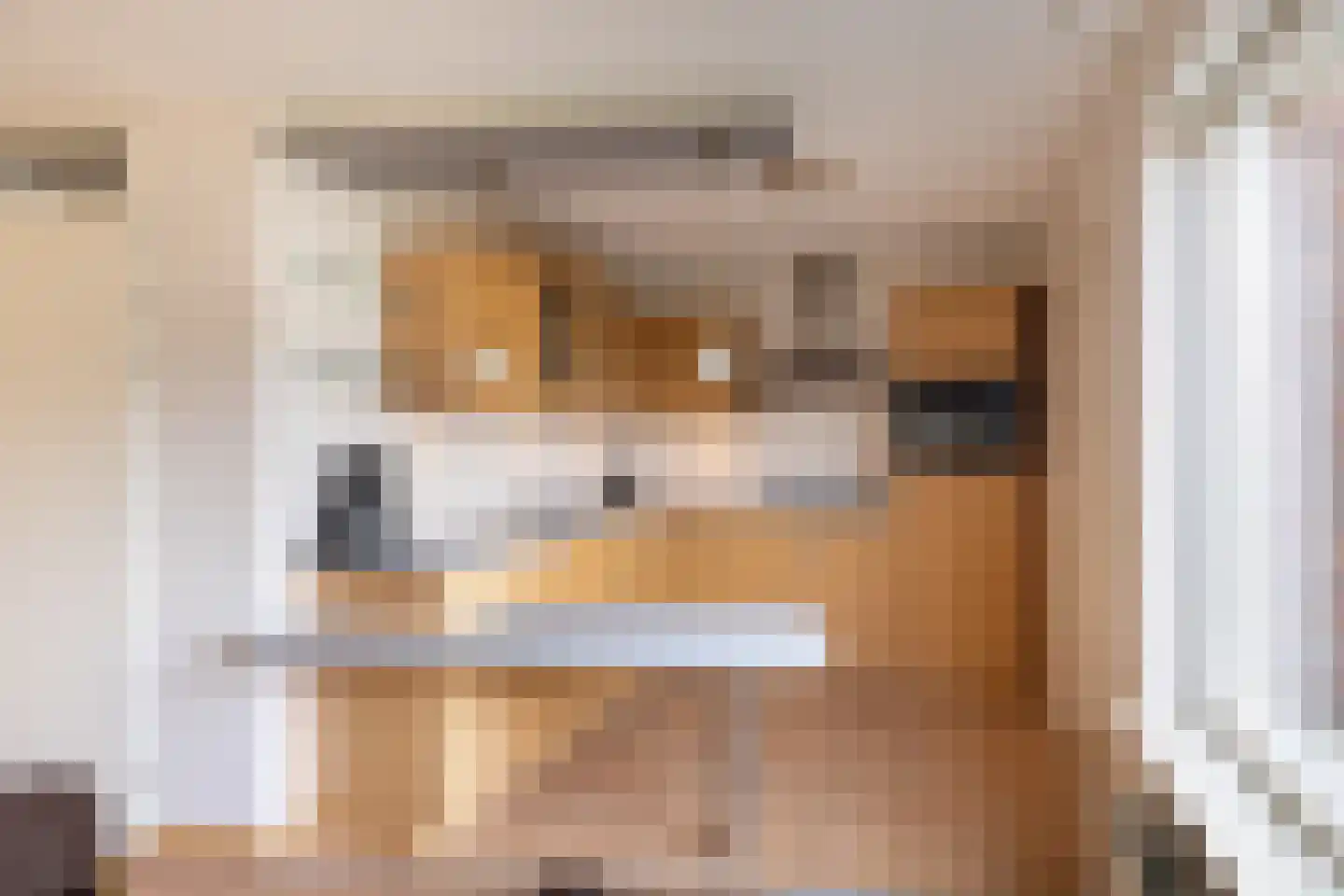Tillefeart 7 Hurdegaryp thumbnail 21