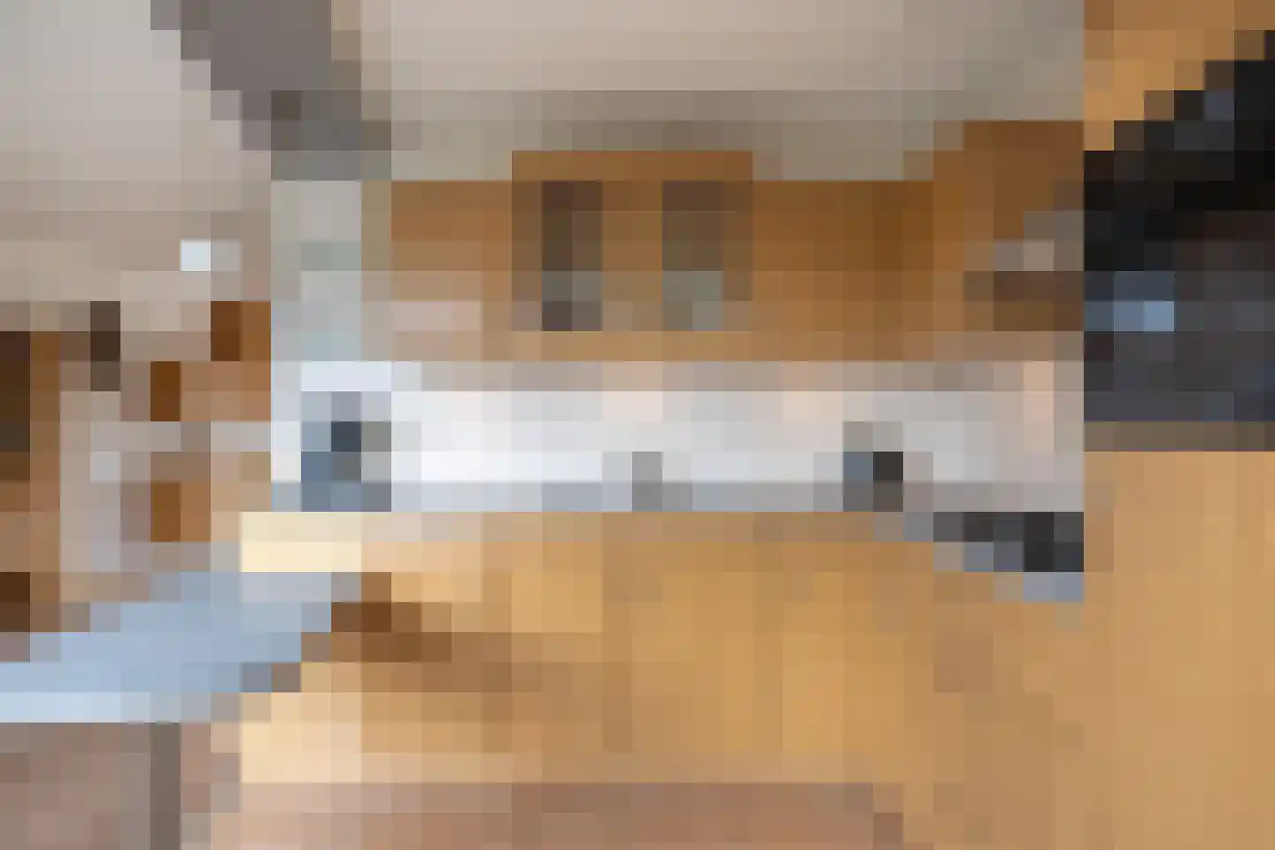 Tillefeart 7 Hurdegaryp thumbnail 22