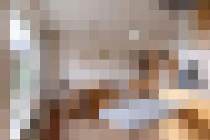 Tillefeart 7 Hurdegaryp thumbnail 24