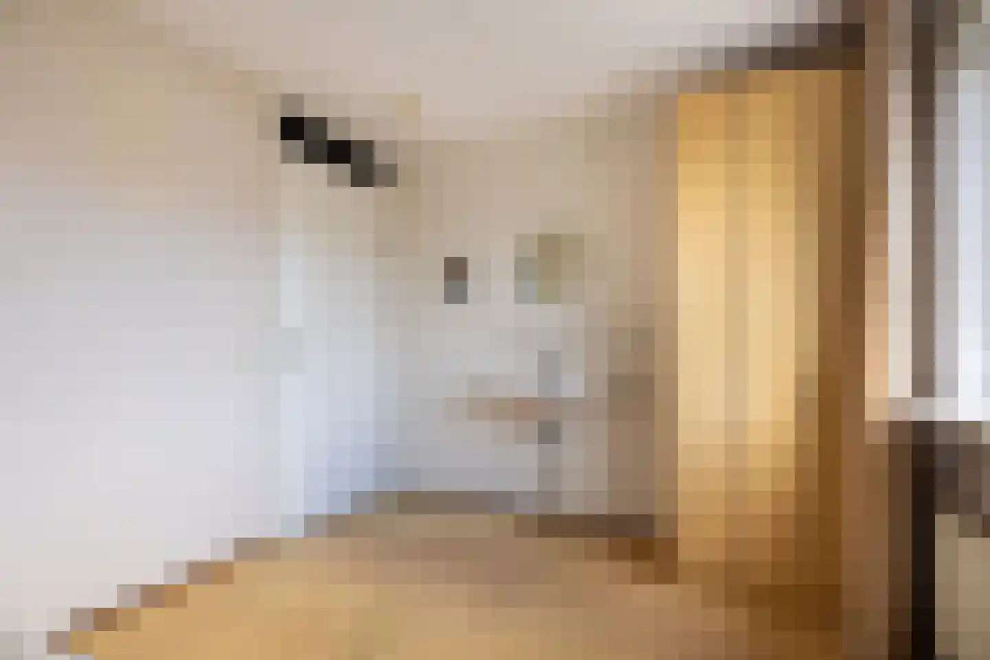 Tillefeart 7 Hurdegaryp thumbnail 34