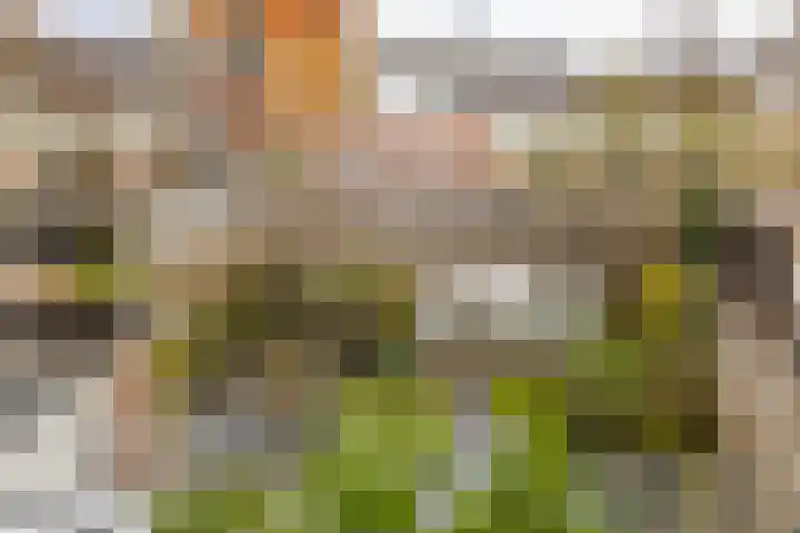 Tillefeart 7 Hurdegaryp thumbnail 36