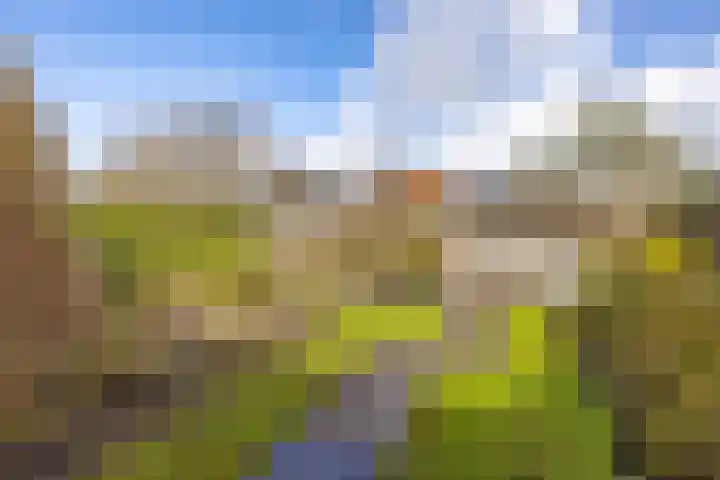 Tillefeart 7 Hurdegaryp thumbnail 4