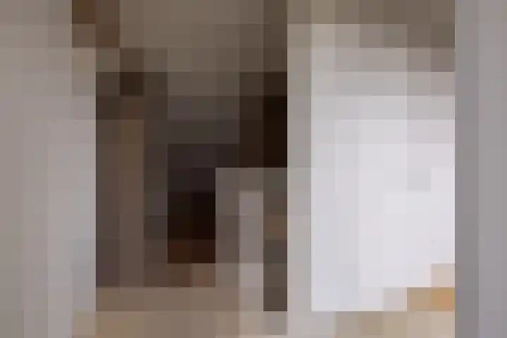 Tillefeart 7 Hurdegaryp thumbnail 43