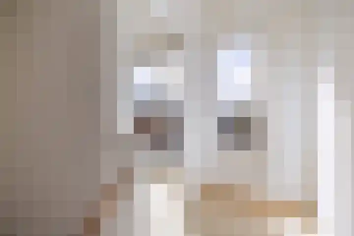 Tillefeart 7 Hurdegaryp thumbnail 44
