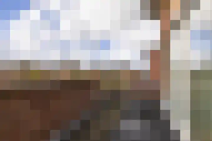 Tillefeart 7 Hurdegaryp thumbnail 49