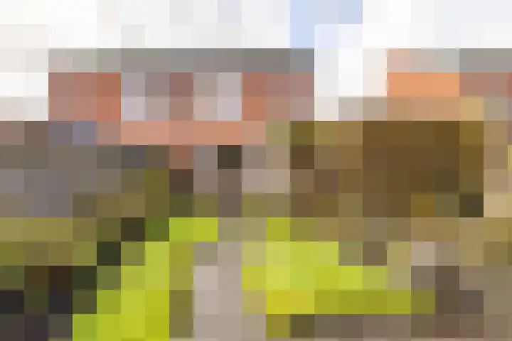 Tillefeart 7 Hurdegaryp thumbnail 5