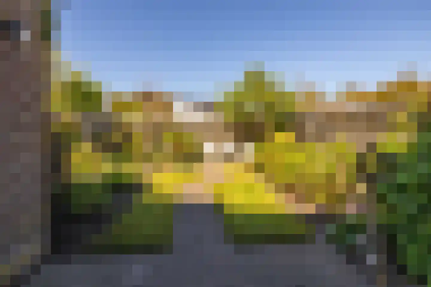 Tillefeart 7 Hurdegaryp thumbnail 51