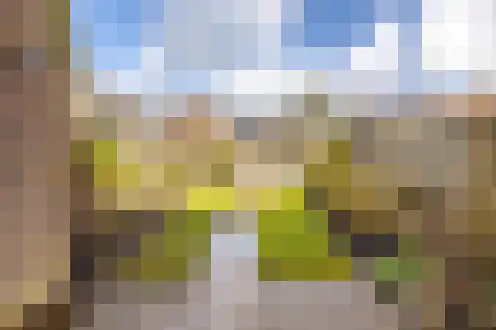 Tillefeart 7 Hurdegaryp thumbnail 51